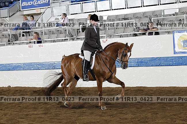 Proof 11r13_0423