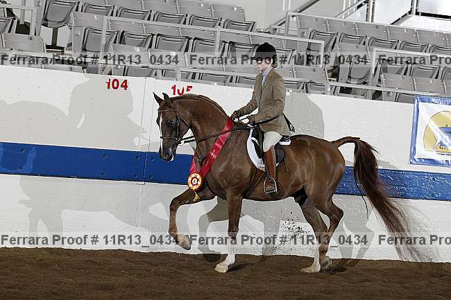 Proof 11r13_0434
