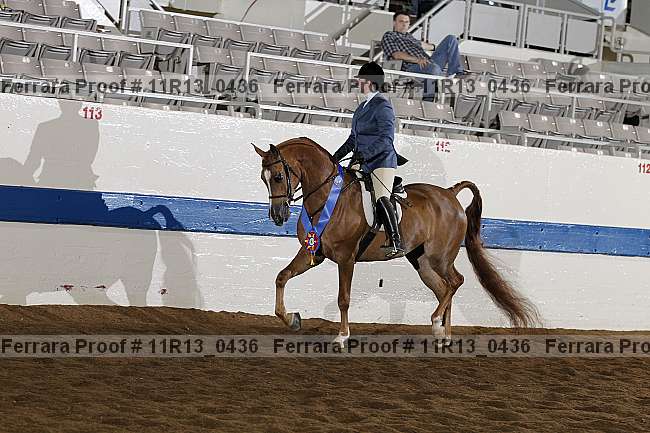 Proof 11r13_0436