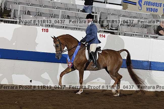Proof 11r13_0437