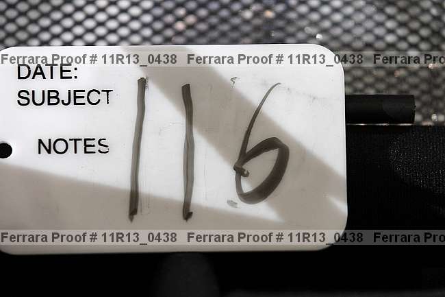Proof 11r13_0438
