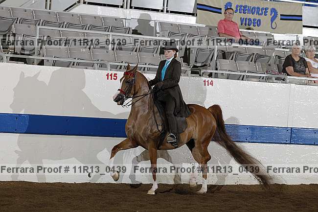 Proof 11r13_0439