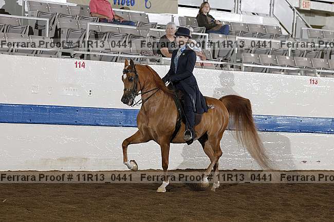 Proof 11r13_0441