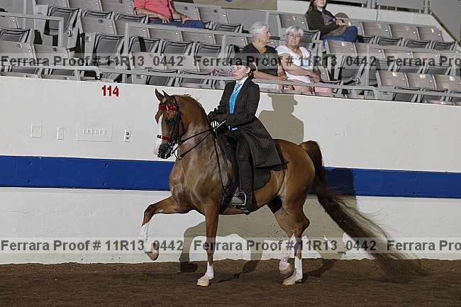 Proof 11r13_0442