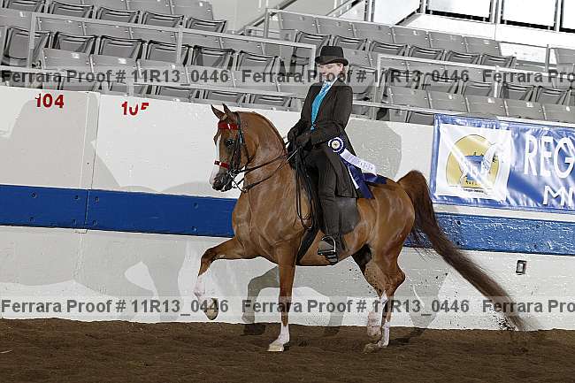 Proof 11r13_0446