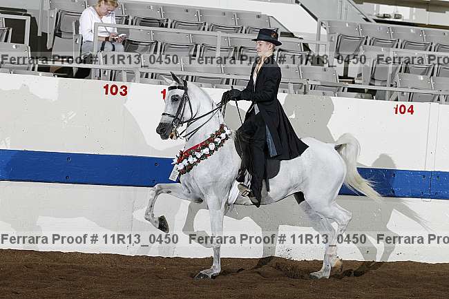 Proof 11r13_0450