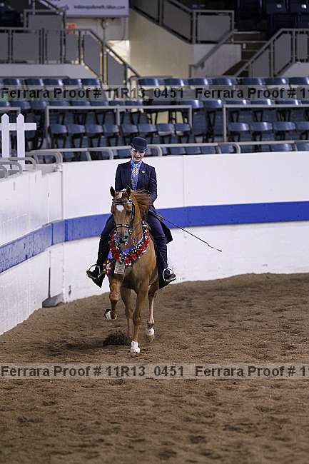 Proof 11r13_0451