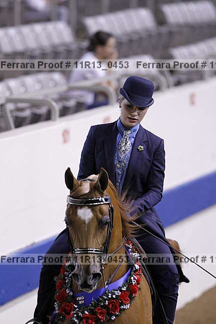 Proof 11r13_0453
