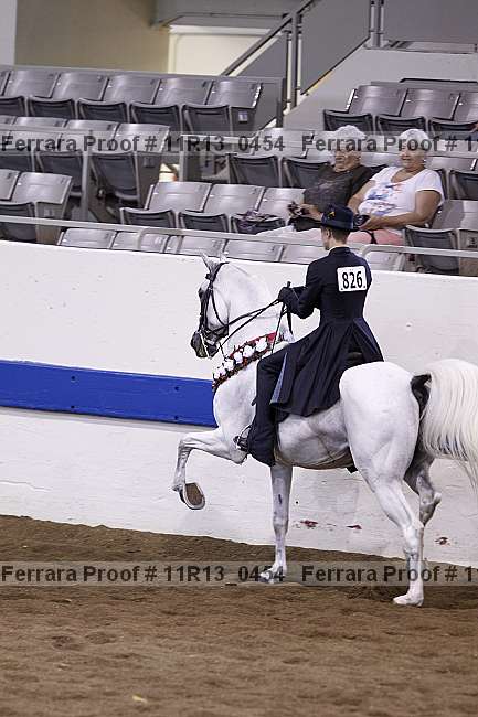 Proof 11r13_0454