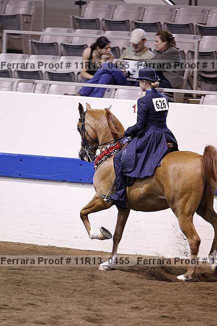 Proof 11r13_0455