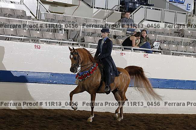 Proof 11r13_0456