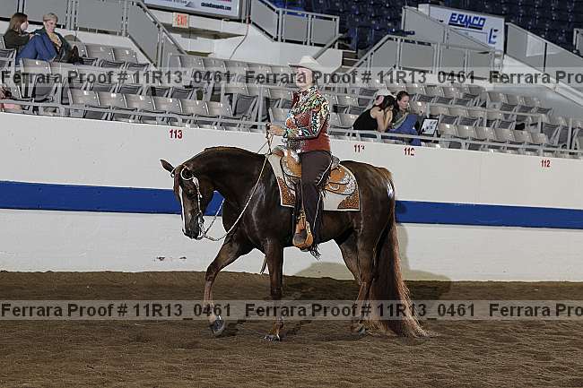 Proof 11r13_0461