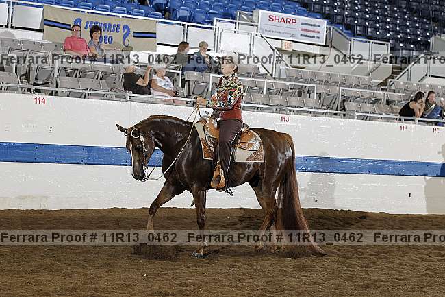 Proof 11r13_0462