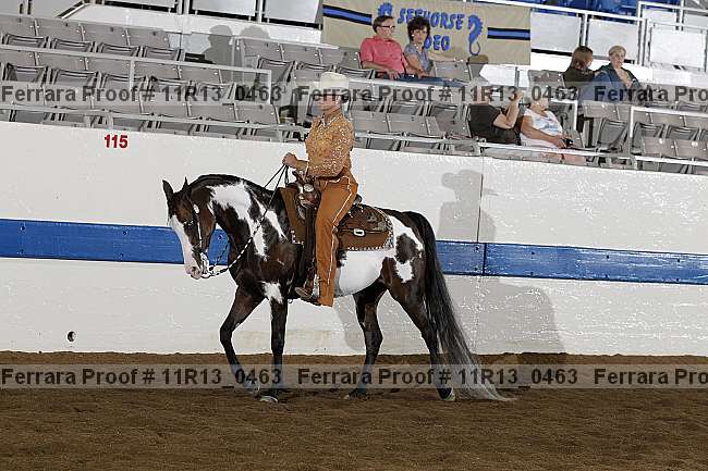 Proof 11r13_0463