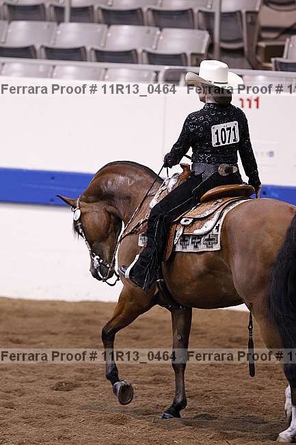 Proof 11r13_0464