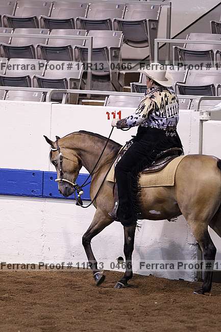 Proof 11r13_0466