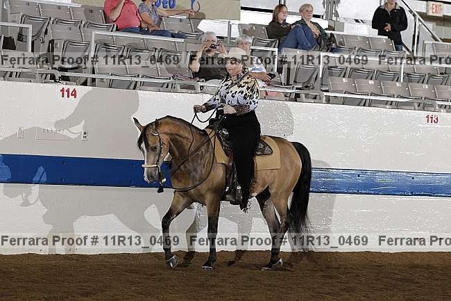 Proof 11r13_0469