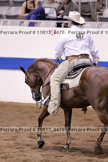 Proof 11r13_0470