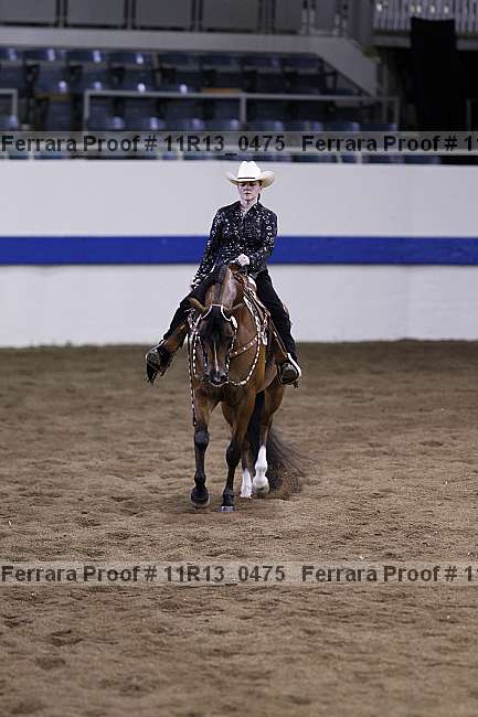 Proof 11r13_0475