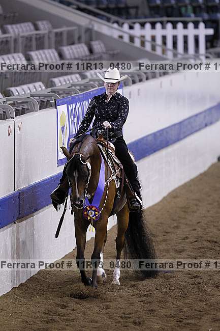 Proof 11r13_0480