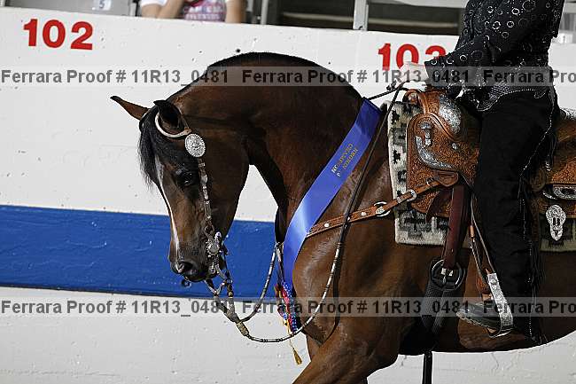 Proof 11r13_0481