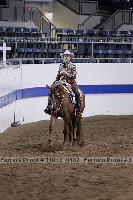 Proof 11r13_0482