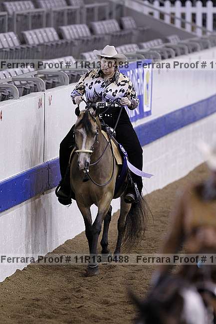 Proof 11r13_0488