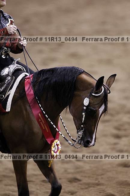 Proof 11r13_0494