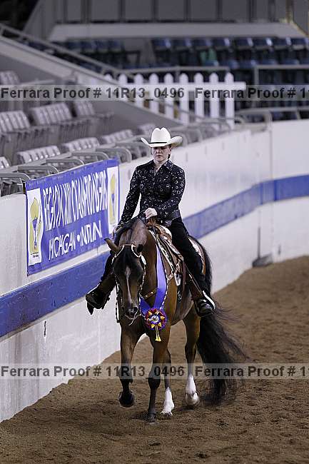 Proof 11r13_0496