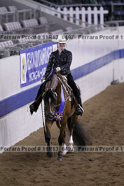 Proof 11r13_0497