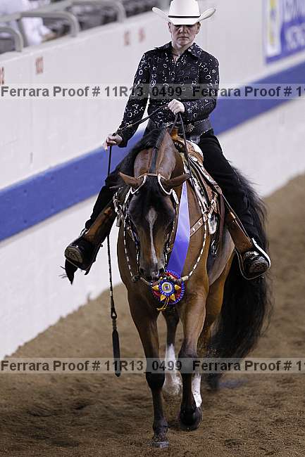 Proof 11r13_0499
