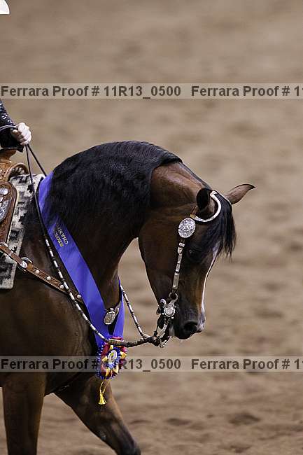 Proof 11r13_0500
