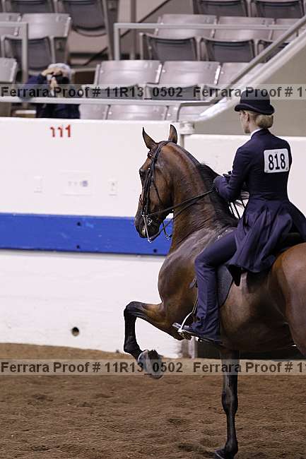 Proof 11r13_0502