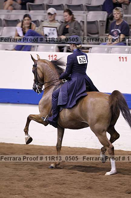 Proof 11r13_0505