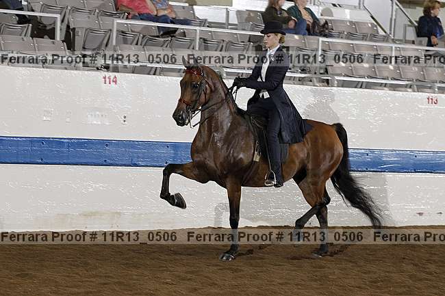 Proof 11r13_0506