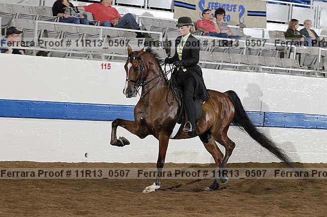 Proof 11r13_0507
