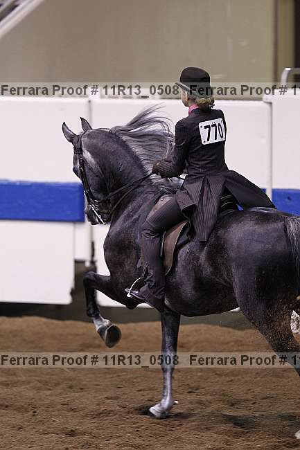 Proof 11r13_0508