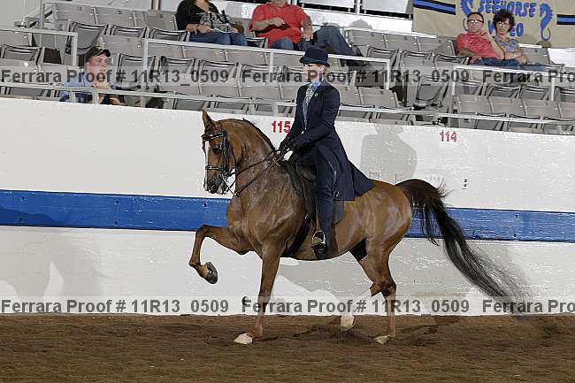 Proof 11r13_0509