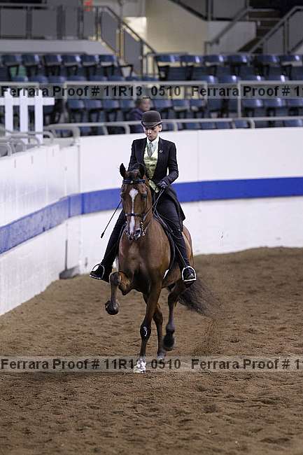 Proof 11r13_0510