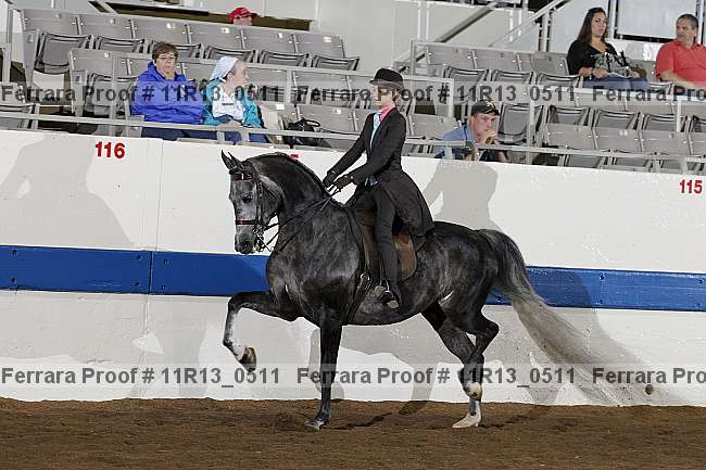 Proof 11r13_0511