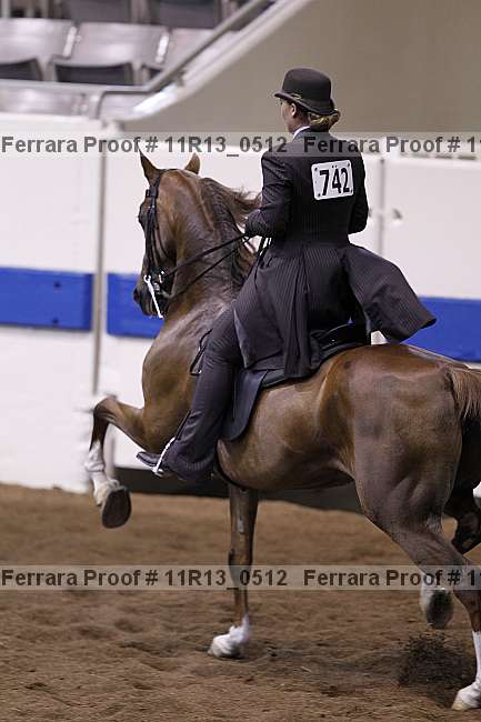 Proof 11r13_0512