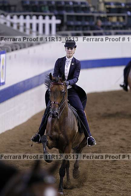 Proof 11r13_0513