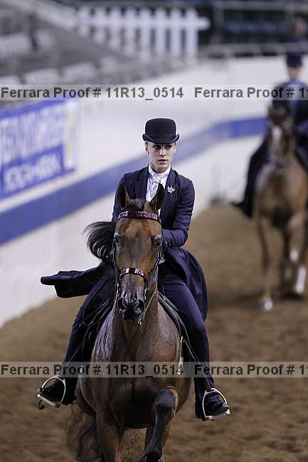 Proof 11r13_0514