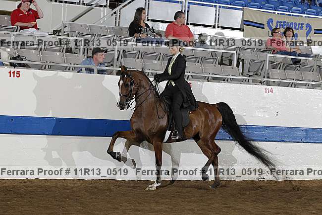 Proof 11r13_0519