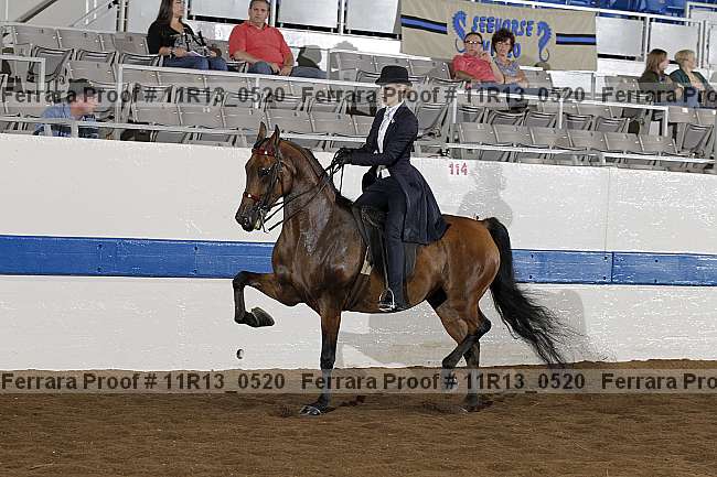 Proof 11r13_0520