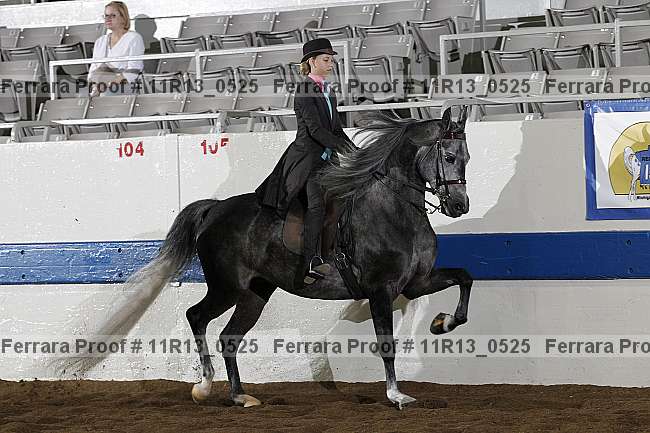 Proof 11r13_0525
