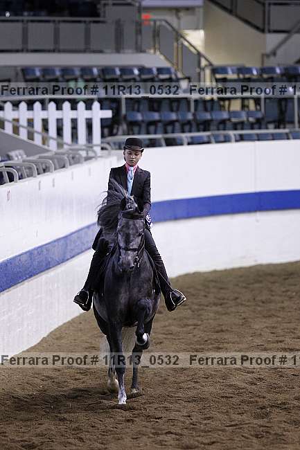 Proof 11r13_0532