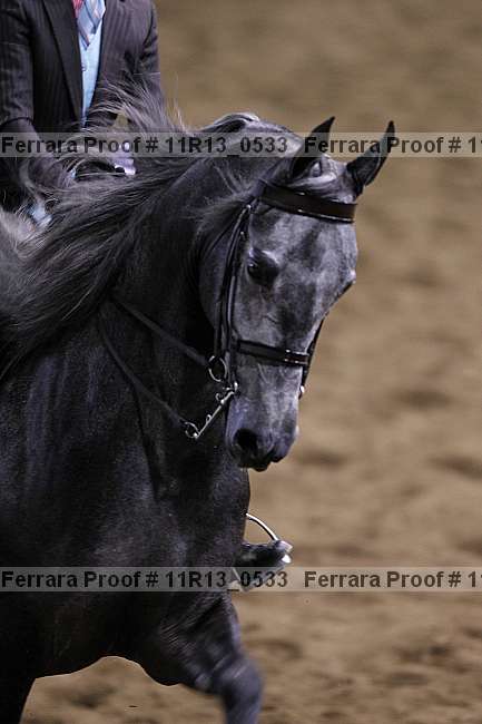 Proof 11r13_0533