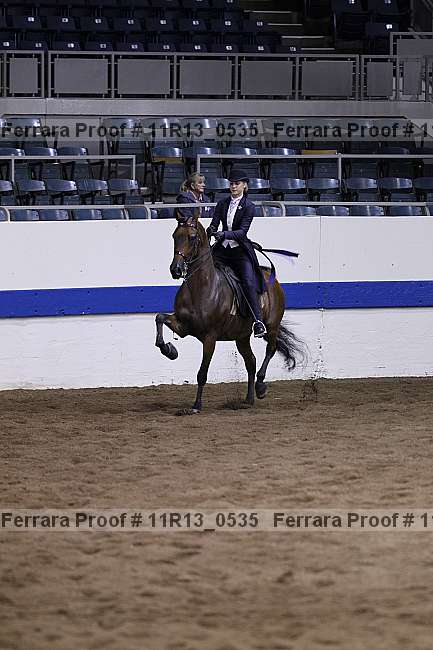 Proof 11r13_0535