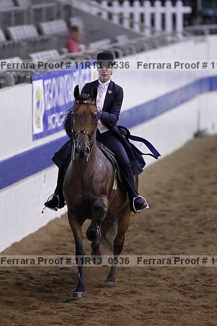 Proof 11r13_0536